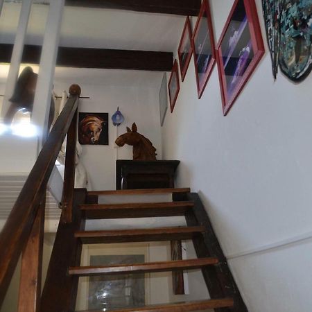 Gites Chambres D'Hotes Mazet Du Marechal Ferrant Σαιντ-Μαρί-ντε-λα-Μερ Εξωτερικό φωτογραφία
