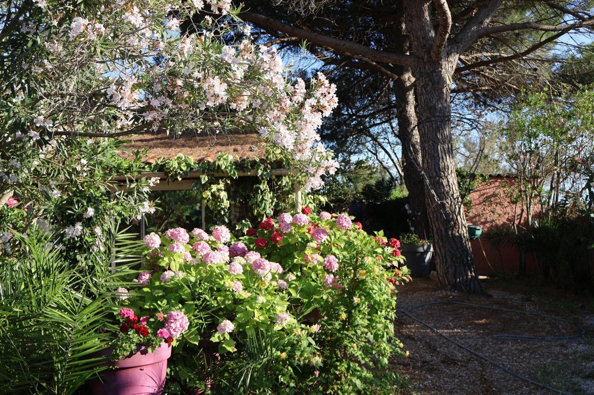 Gites Chambres D'Hotes Mazet Du Marechal Ferrant Σαιντ-Μαρί-ντε-λα-Μερ Εξωτερικό φωτογραφία