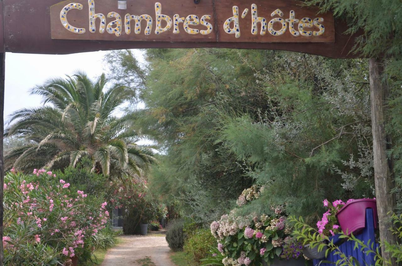 Gites Chambres D'Hotes Mazet Du Marechal Ferrant Σαιντ-Μαρί-ντε-λα-Μερ Εξωτερικό φωτογραφία