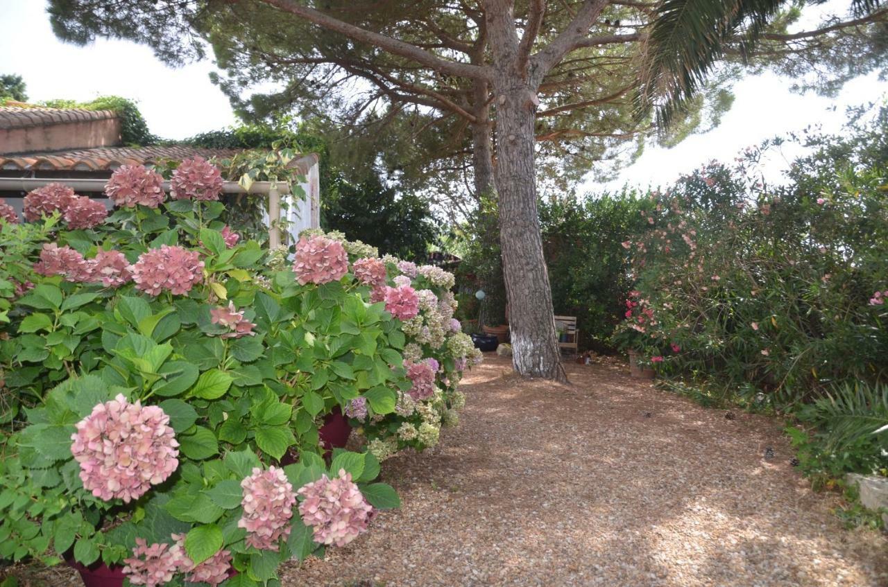 Gites Chambres D'Hotes Mazet Du Marechal Ferrant Σαιντ-Μαρί-ντε-λα-Μερ Εξωτερικό φωτογραφία